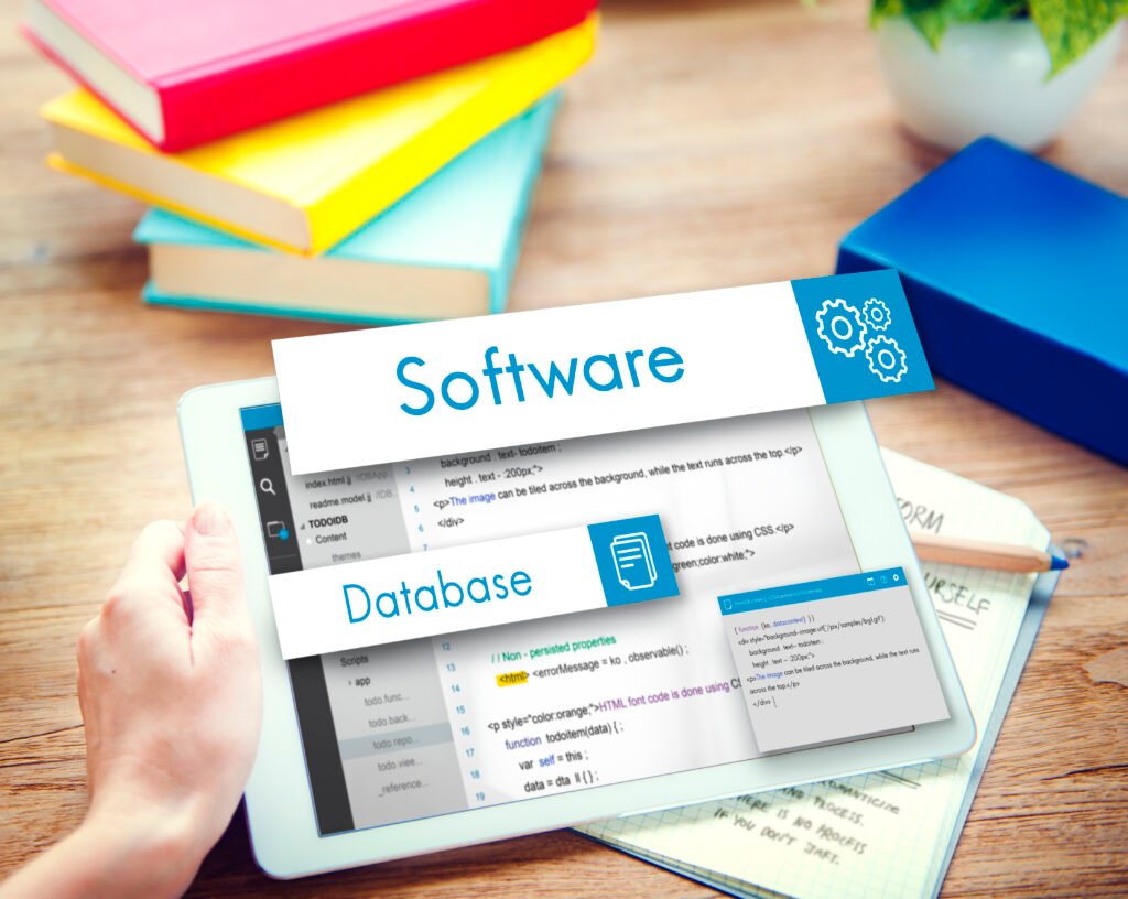 Software Development Service